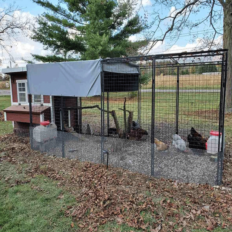 OverEZ Chicken Run Large 15' Walk-In Stand-Alone or Attachable