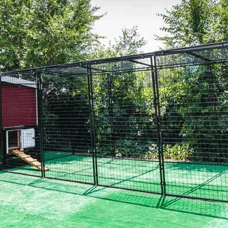 OverEZ Chicken Run Large 15' Walk-In Stand-Alone or Attachable