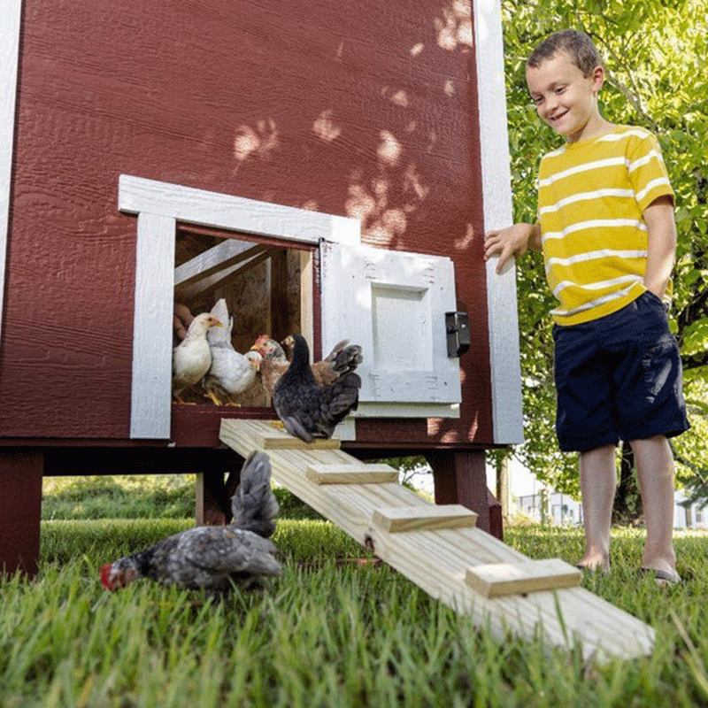 OverEZ Chicken Coop Large Up to 15 Chickens - 3 Optional Colors