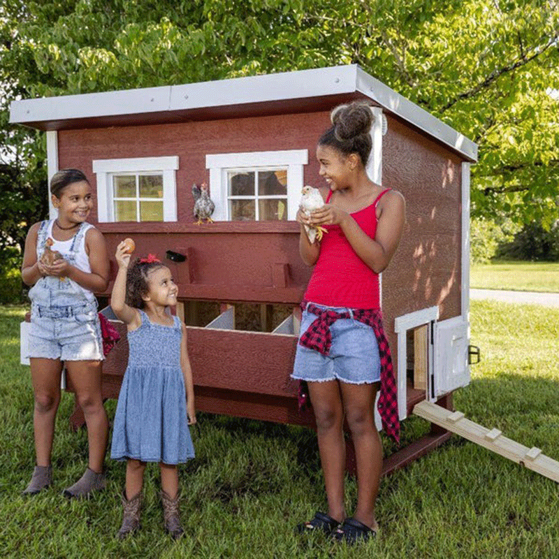 OverEZ Chicken Coop Large Up to 15 Chickens - 3 Optional Colors