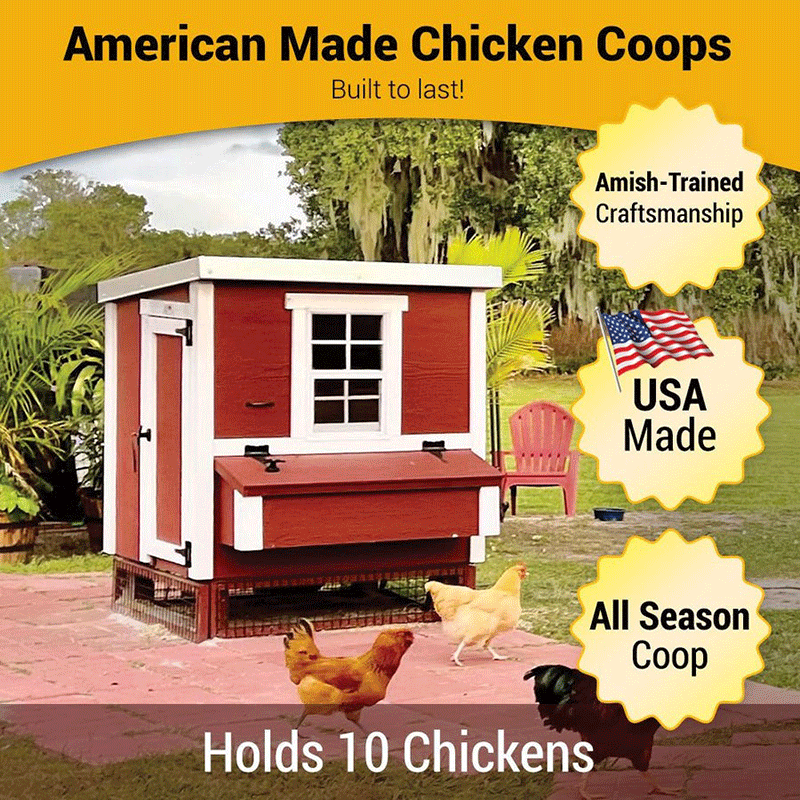 OverEZ Chicken Coop Medium Up to 10 Chickens - 3 Optional Colors