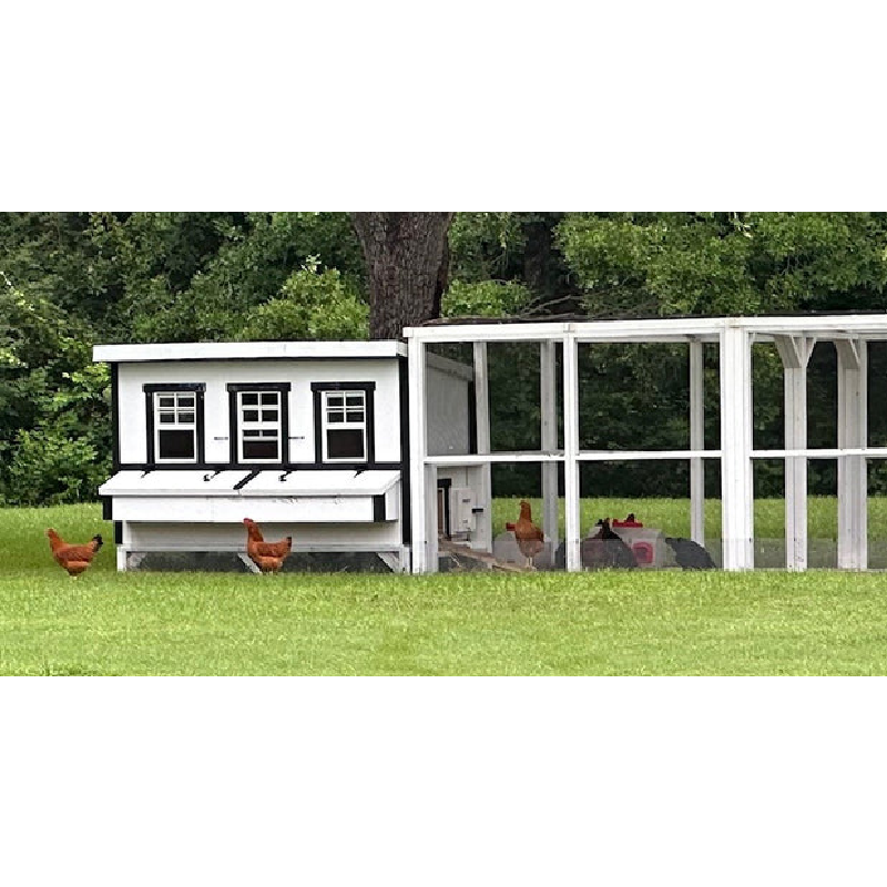 OverEZ Chicken Coop XL Up to 20 Chickens - 3 Optional Colors