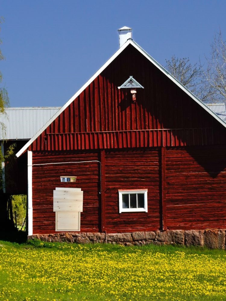 Coop Tender Certified Humane Automatic Chicken Coop Door 21Wx18H Opening + Internet Wi-Fi + Solar Bundle